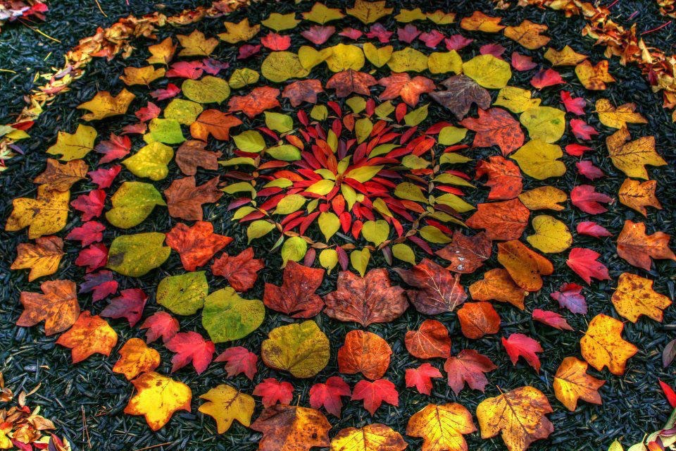 leaves in pattern