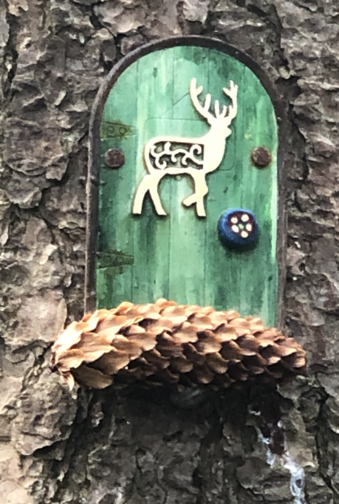 Green Rustic Door