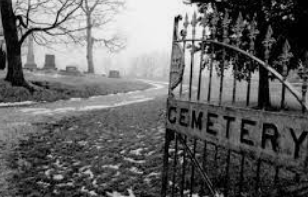 gates at a cemetery in a black and white photo with the leaves covering the ground